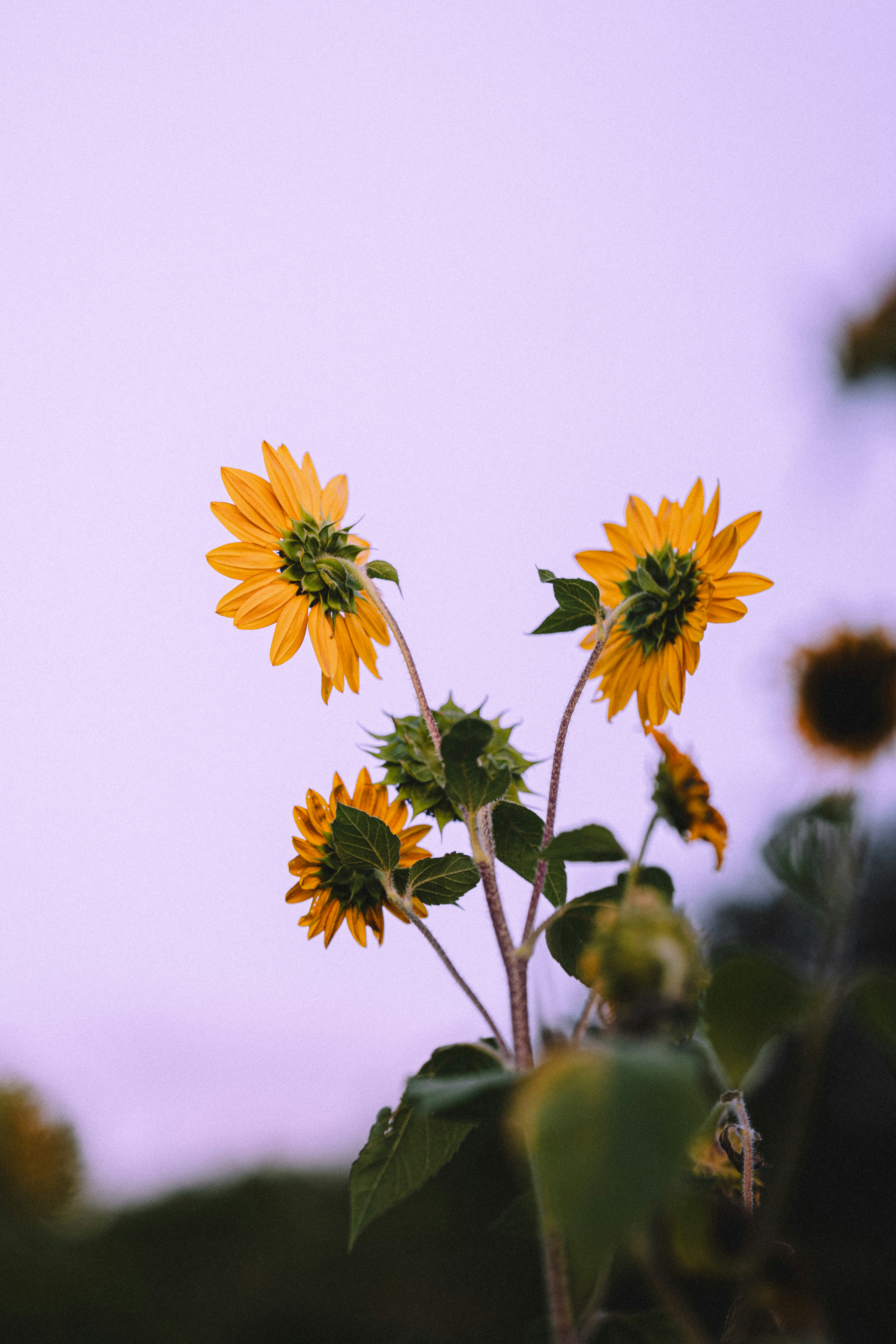 Photo by elmartinbaron