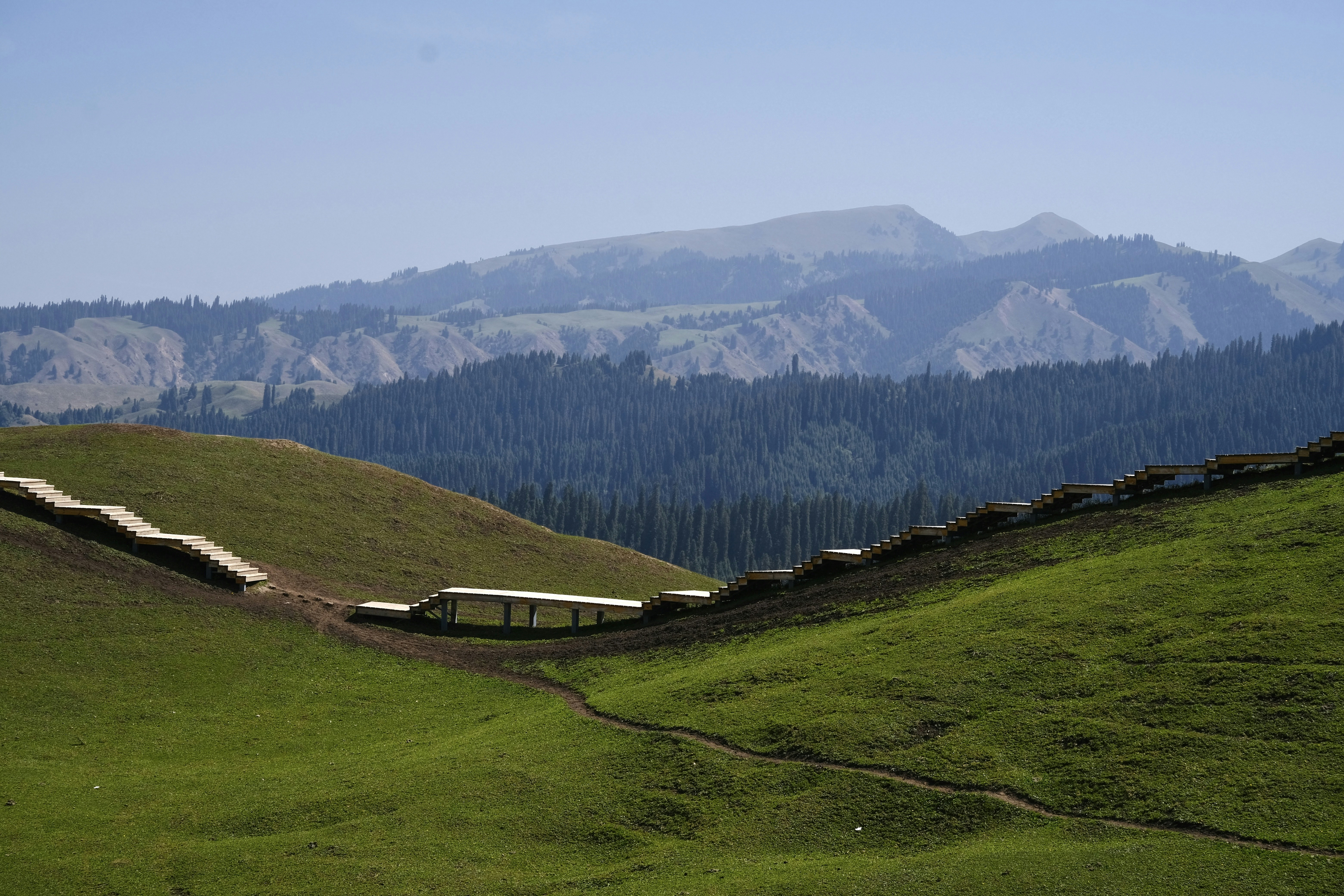 Un campo cubierto de hierba con una colina al fondo