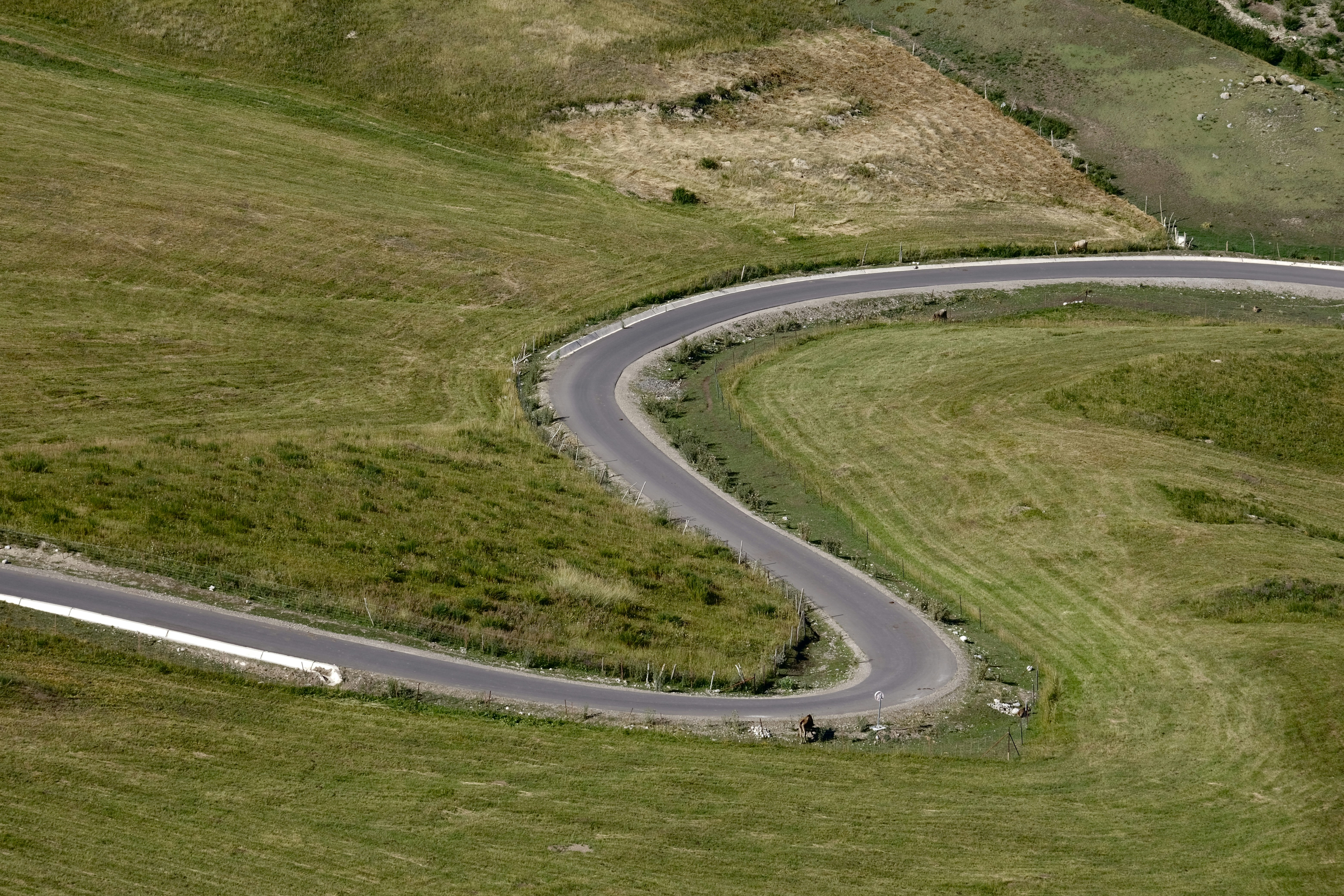 Un camino sinuoso en medio de un campo de hierba
