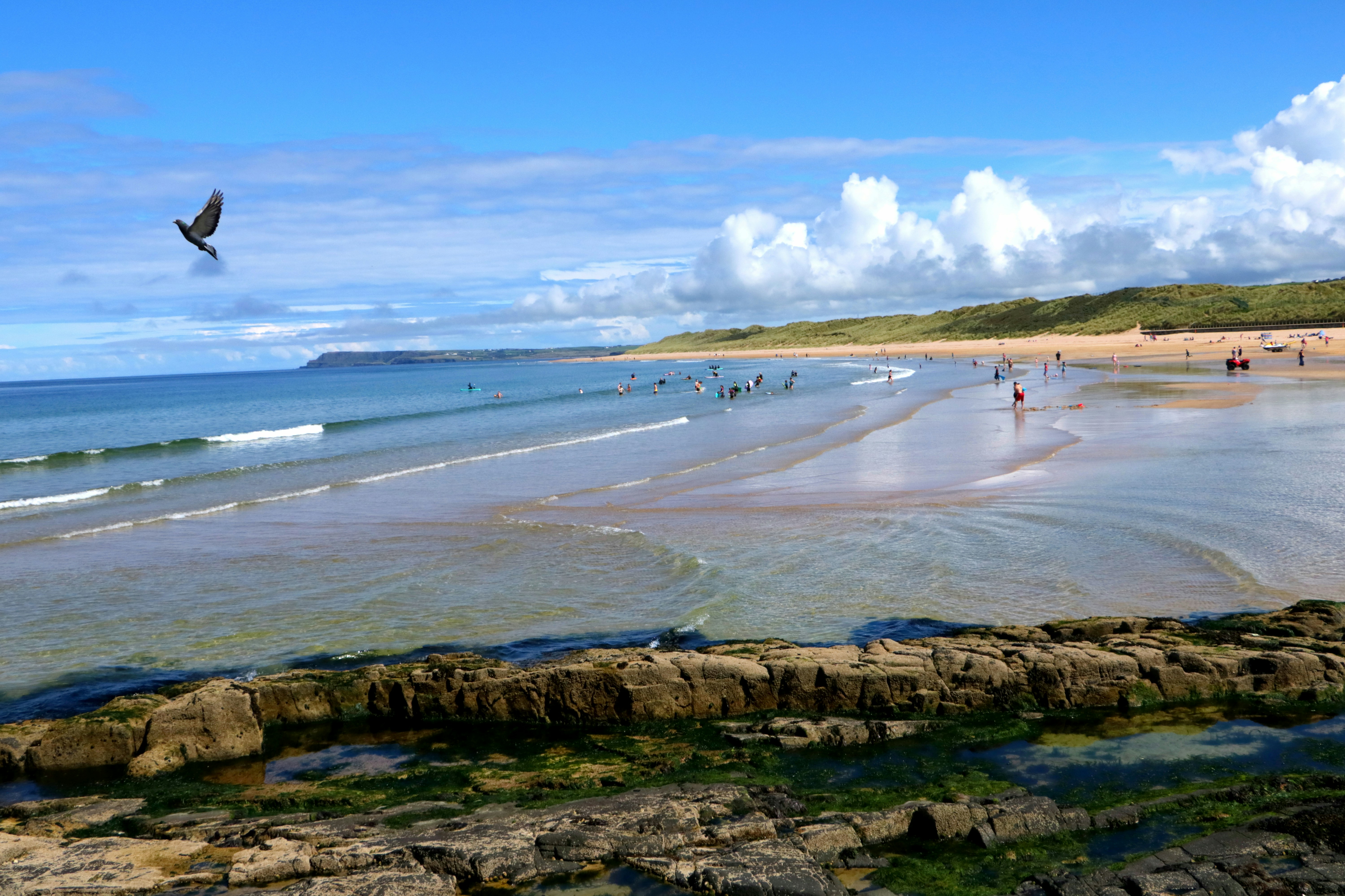 a group of people standing on top of a beach next to the ocean