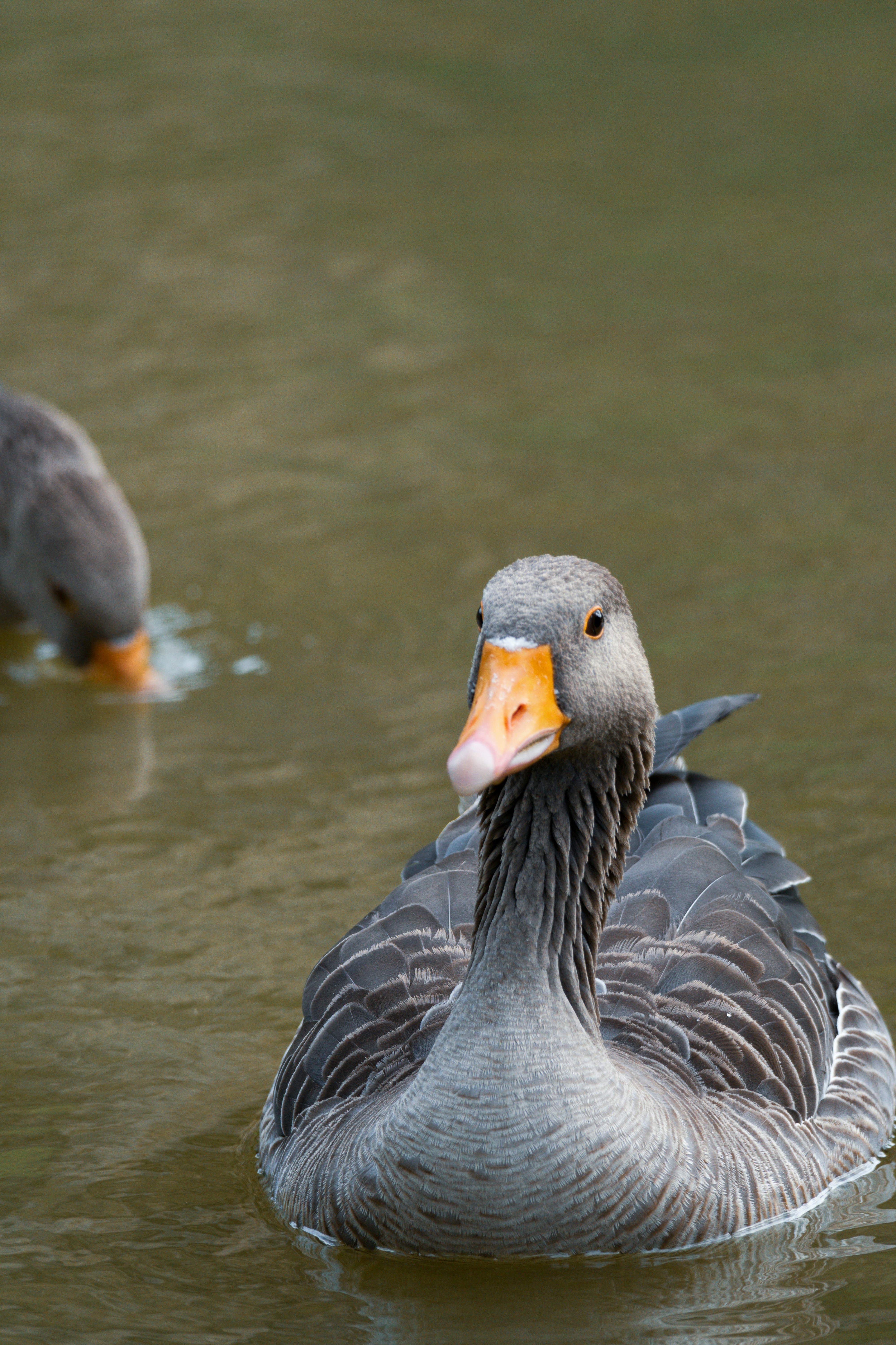 Photo by whereiskylenow