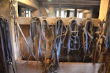 Leather reins and bridles hanging neatly in a stable.