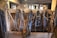 Various horse bridles and leather straps hang neatly in a wooden tack room. The wooden walls and beams give the space a rustic, historical feel.