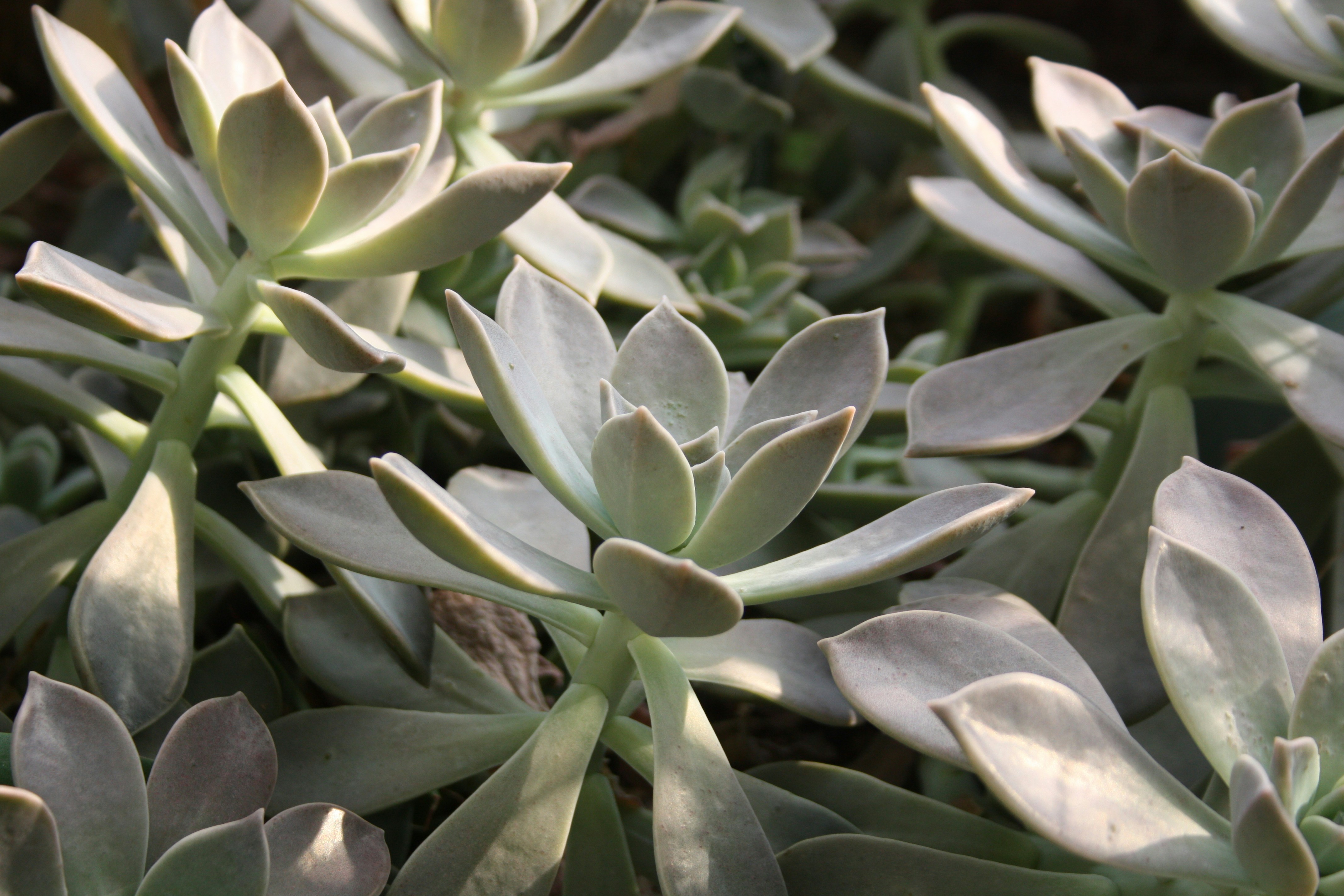 Photo by emmaniamh23