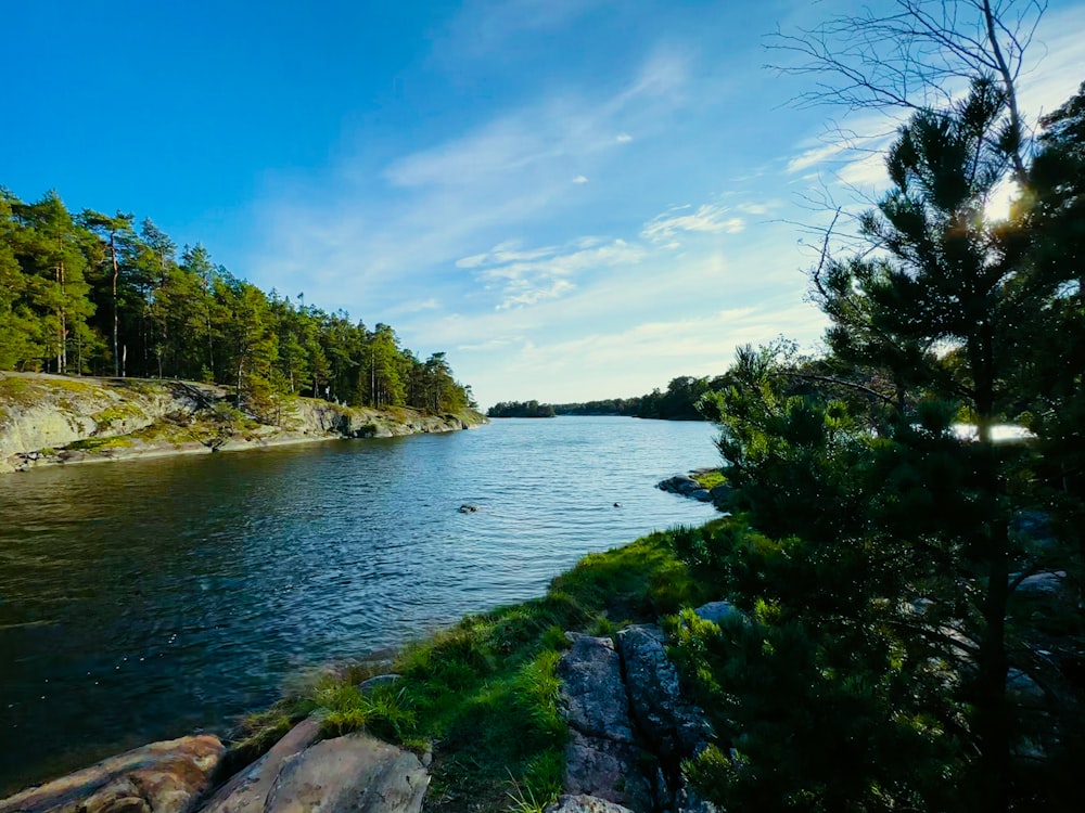 a body of water surrounded by trees and rocks