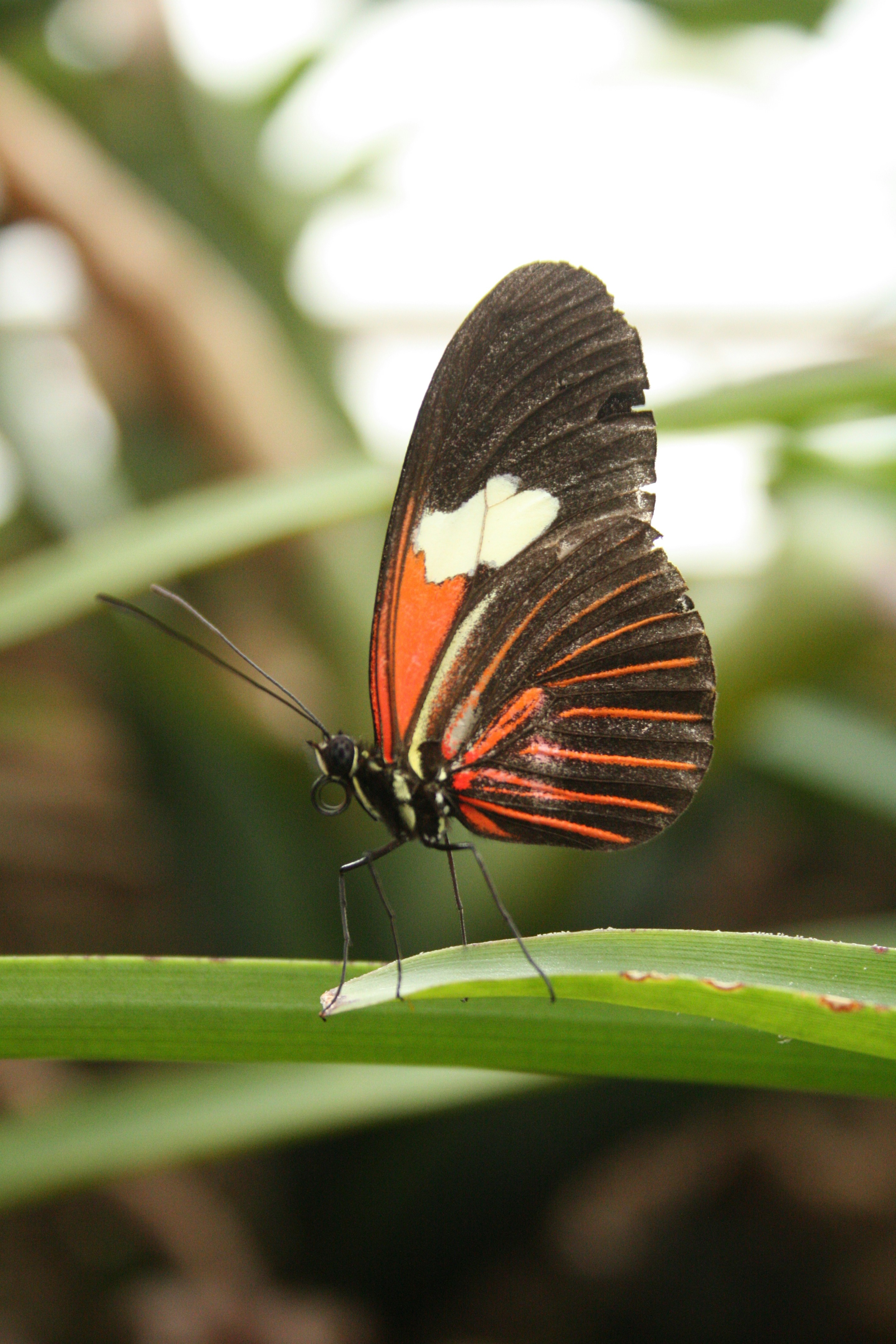 Photo by emmaniamh23