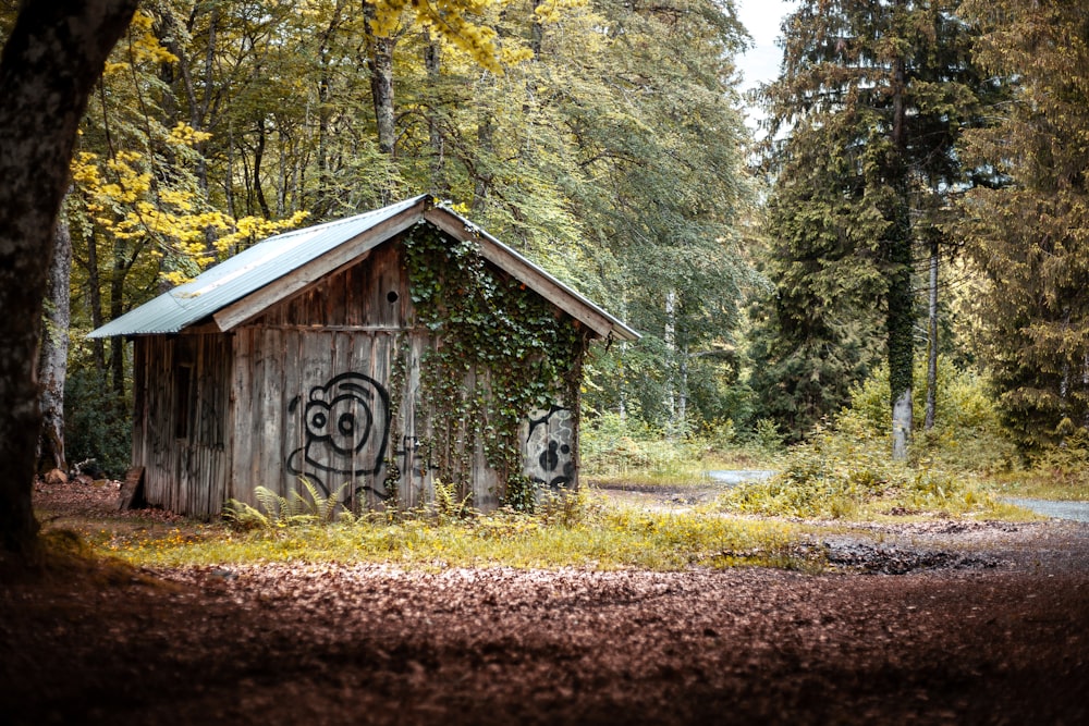 an old outhouse with graffiti on the side of it