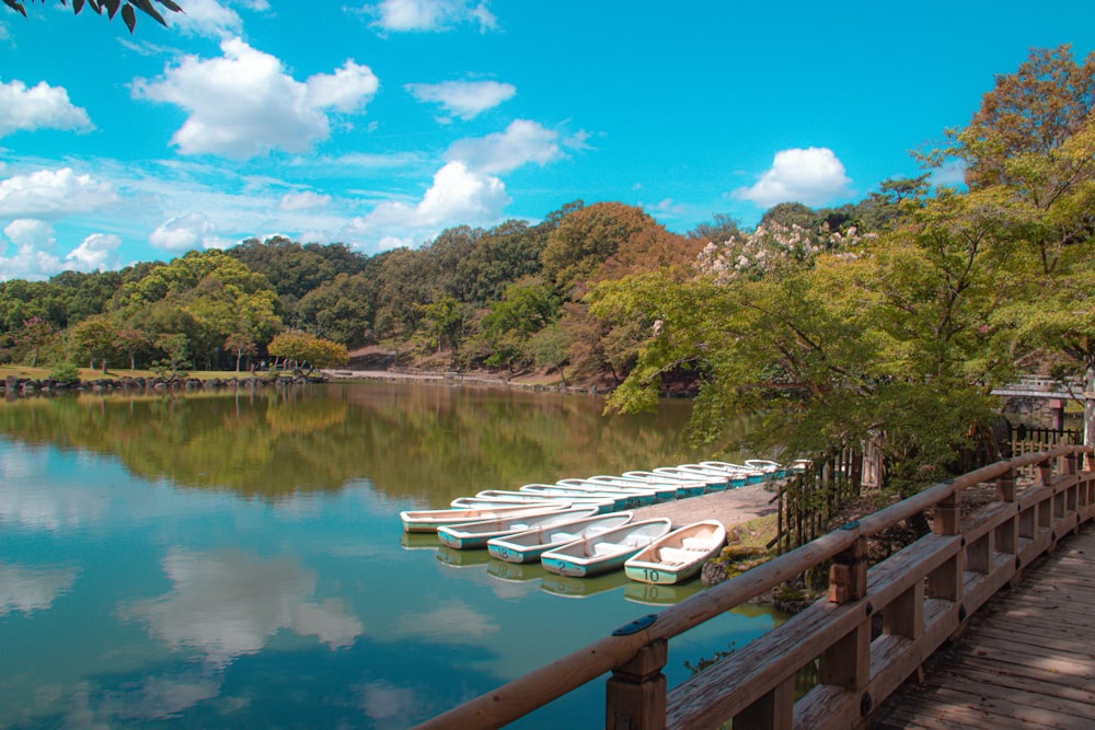 there are many boats that are docked on the water