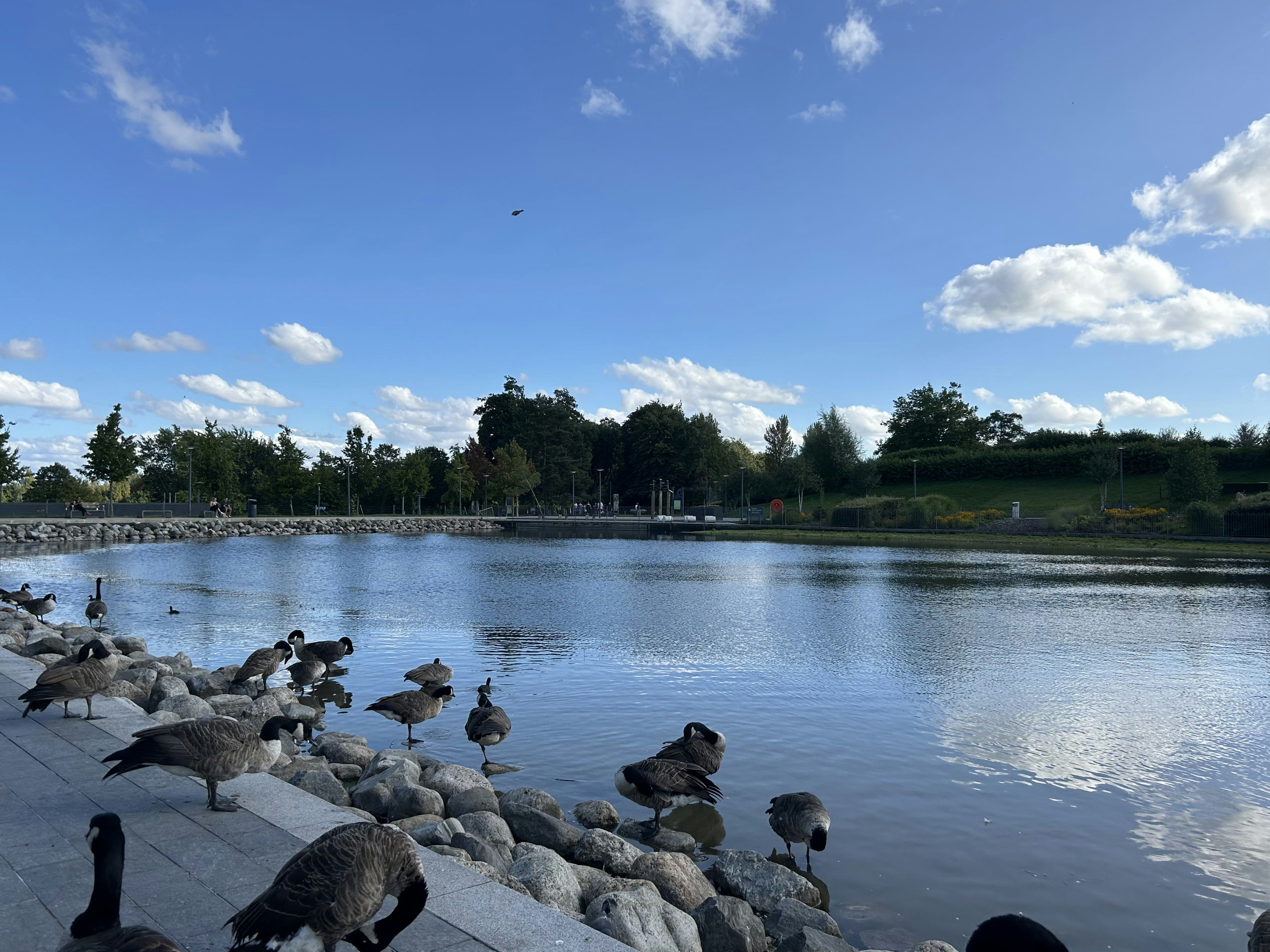 Photo by _crystallee_