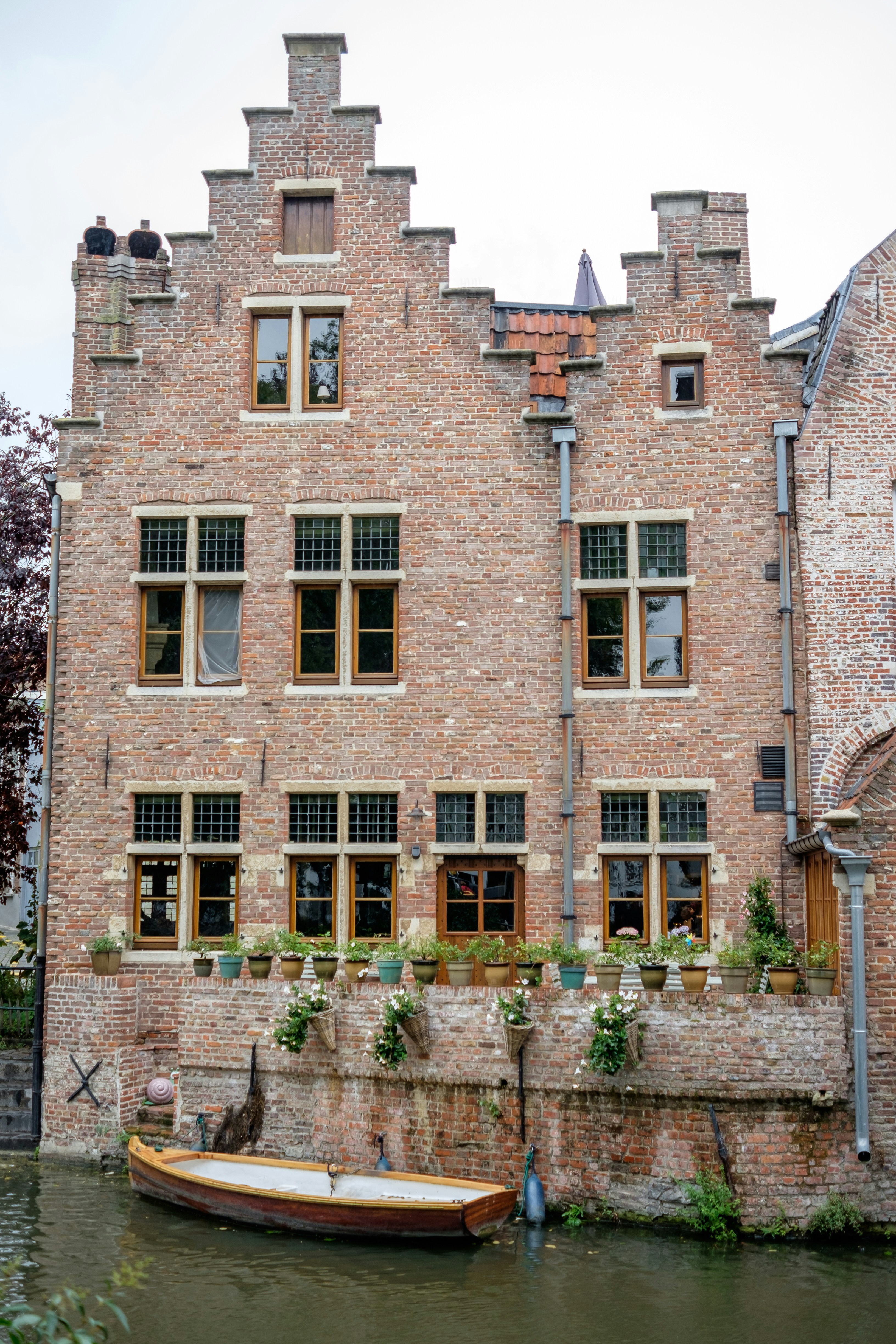 Photo by mayumimaciel