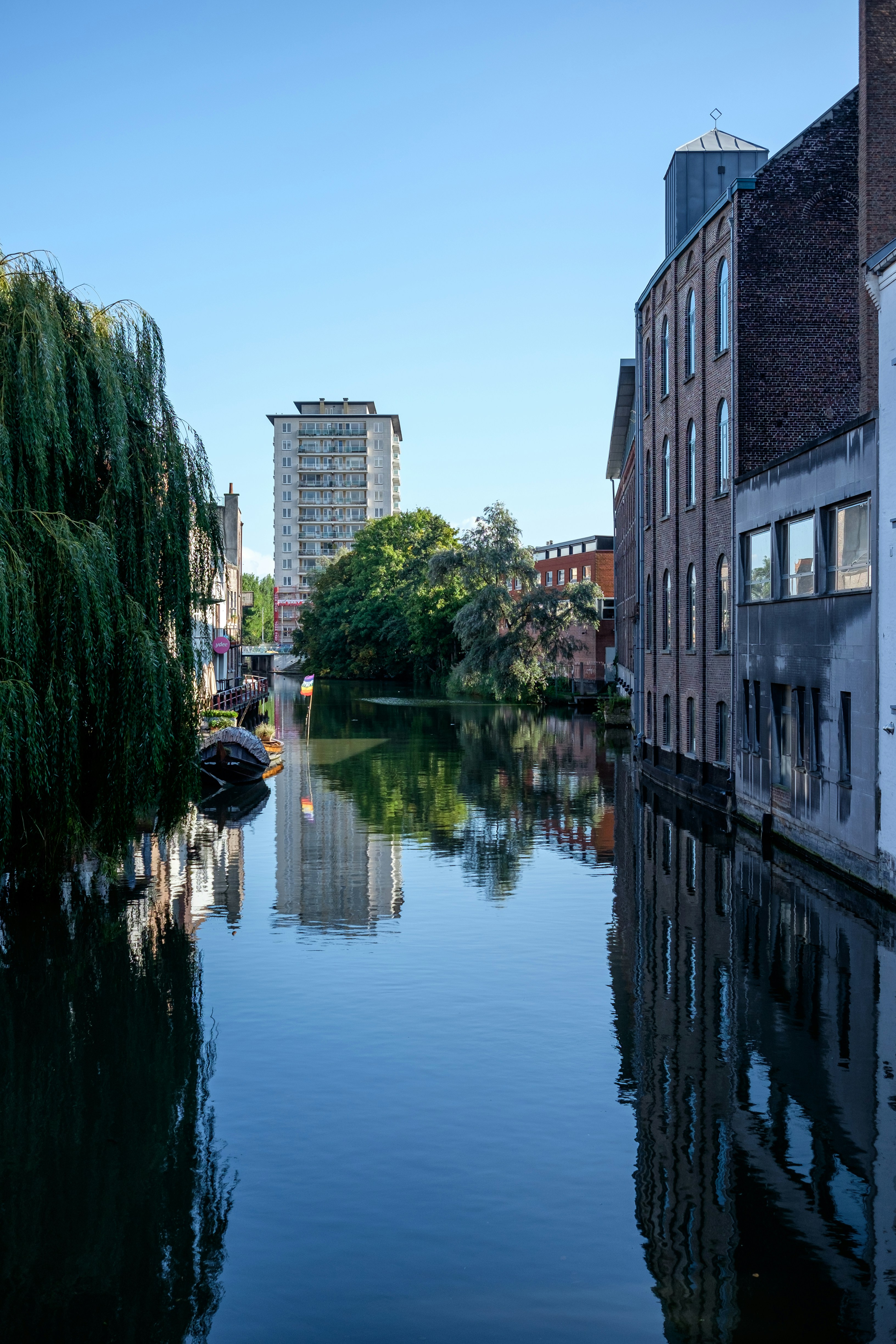 Photo by mayumimaciel