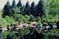 A serene garden filled with lush greenery.
