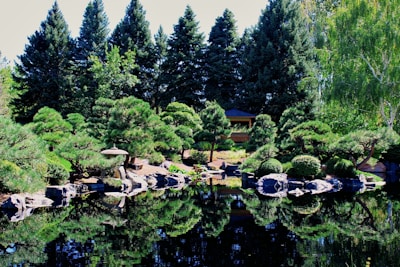 A serene garden with lush green foliage, a variety of shaped bushes and trees, and a tranquil pond reflecting the landscape. There's a small stone lantern and a wooden gazebo hidden among the greenery, surrounded by large rocks.