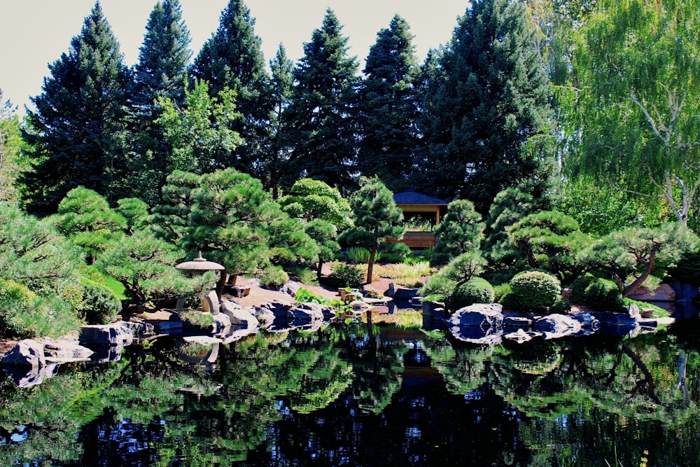 a small pond surrounded by trees and rocks