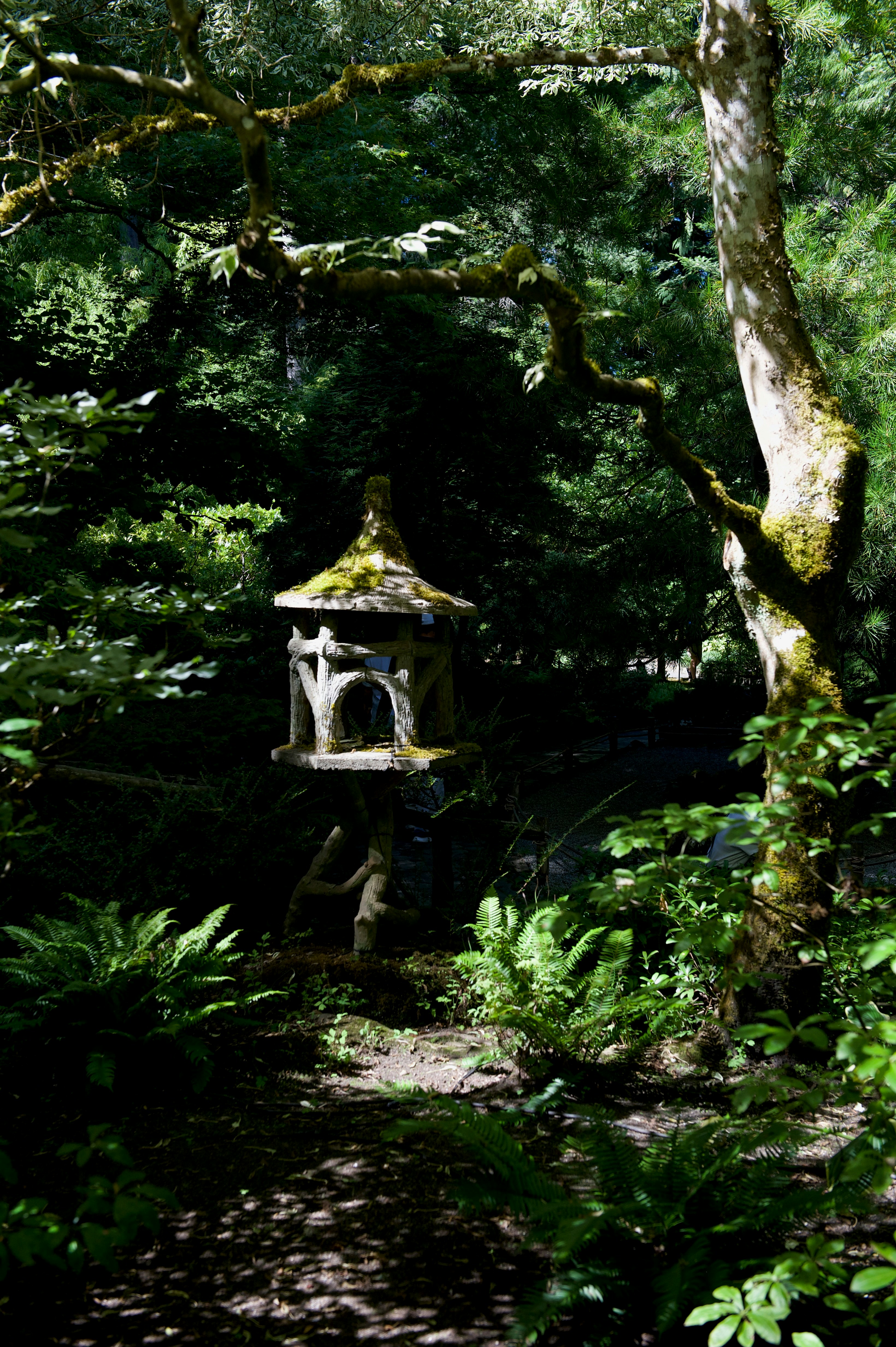 a bird house in the middle of a forest