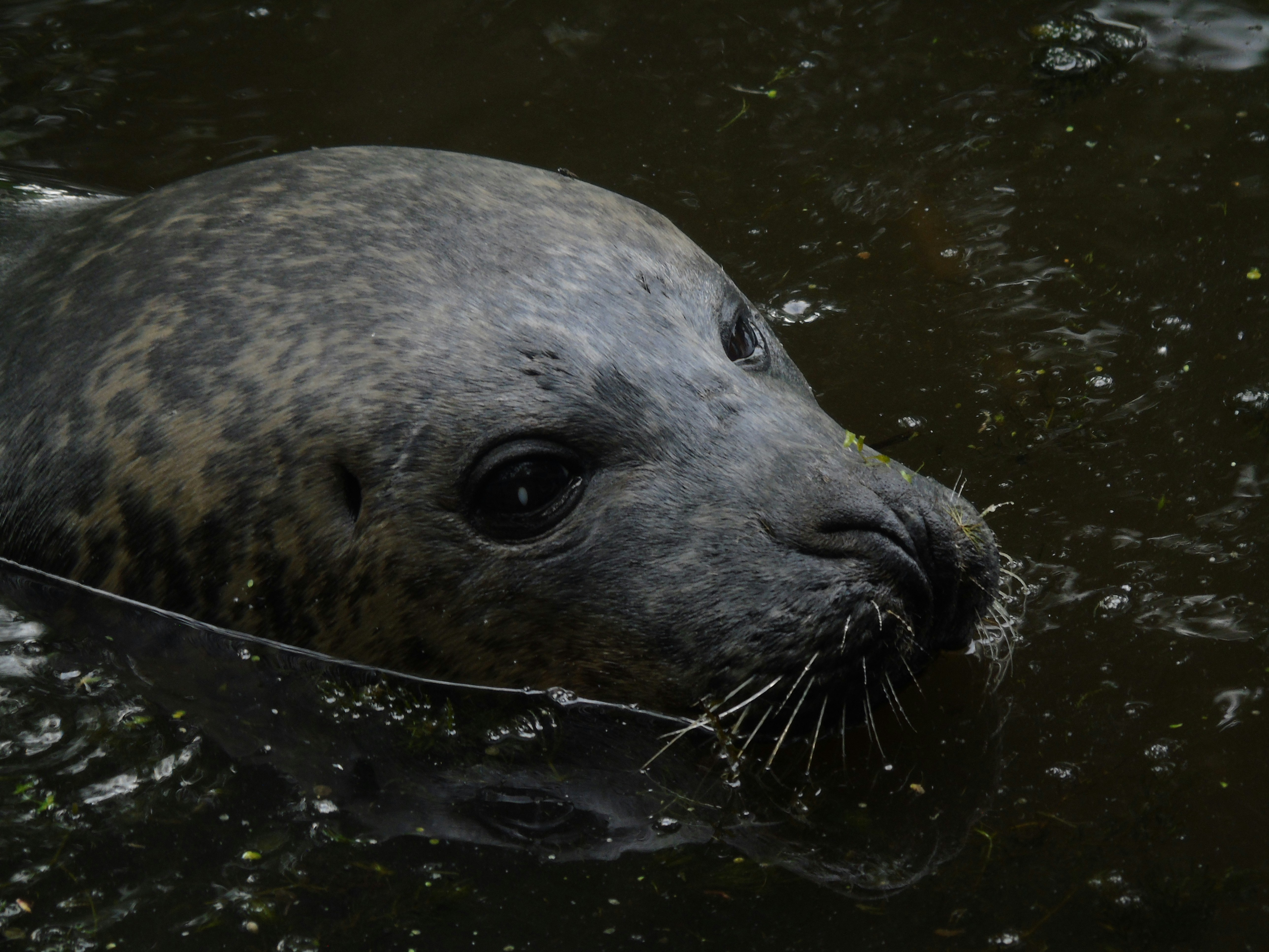 Photo by ejanssen_23