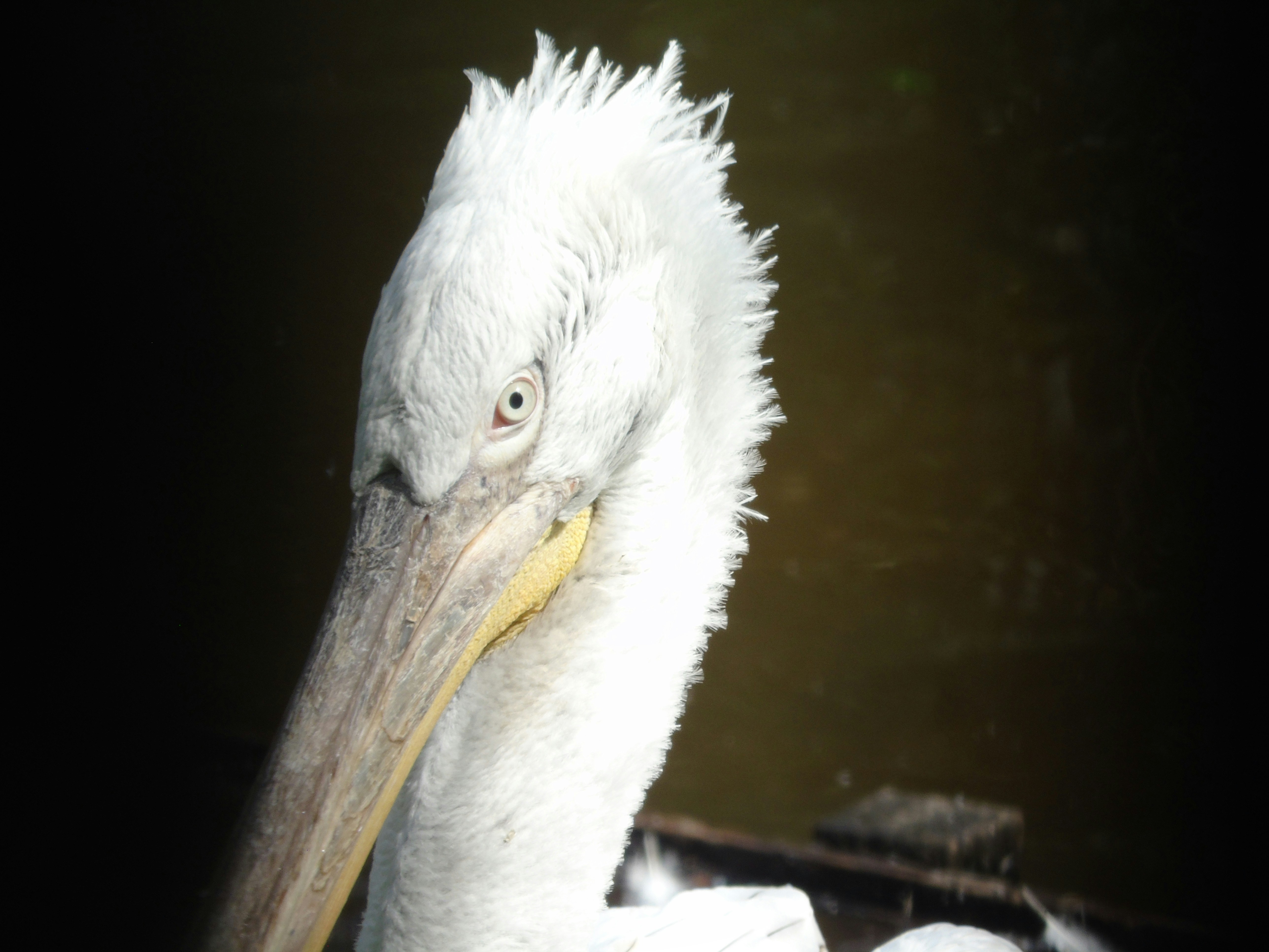 Photo by ejanssen_23