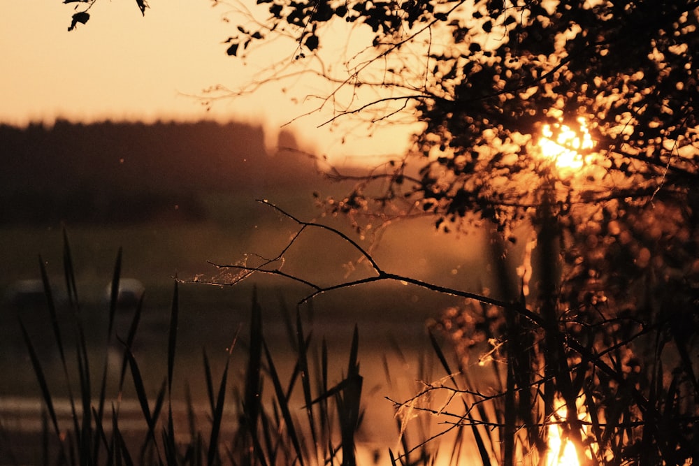 the sun is setting over a body of water