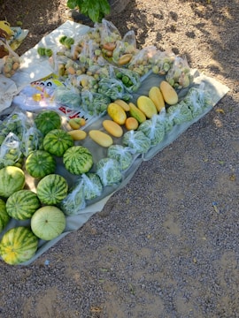 A variety of fresh produce is displayed on a cloth spread over a gravel surface. The assortment includes watermelons, different types of gourds, and green vegetables packaged in plastic bags. Shadows from leaves suggest it's a sunny day.