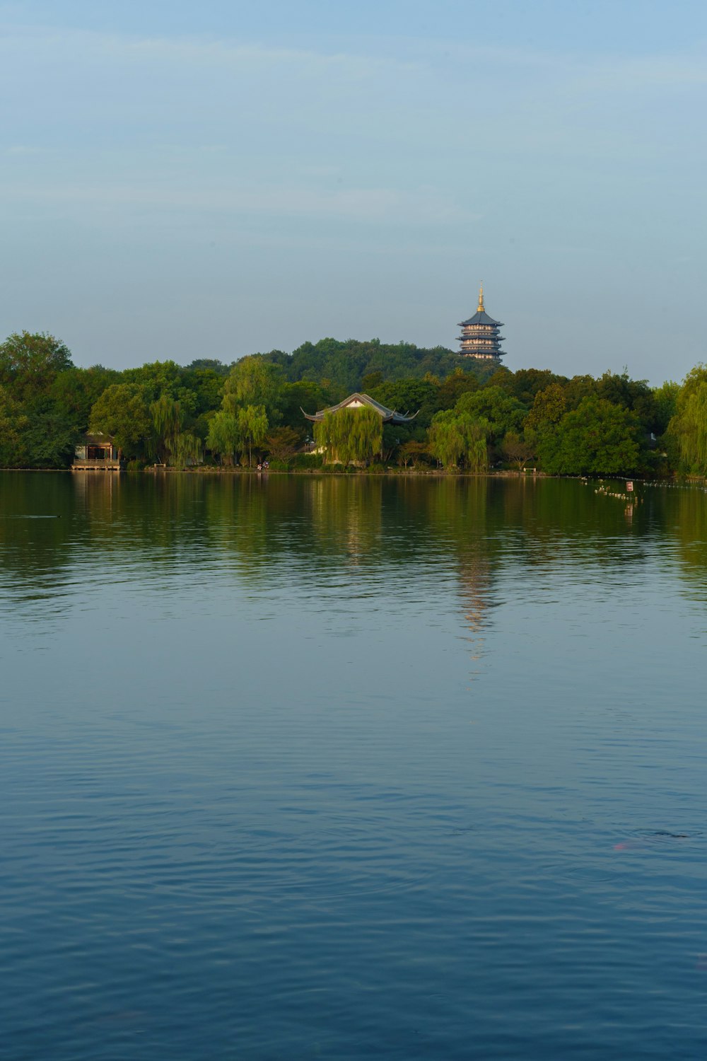 a large body of water with trees in the background