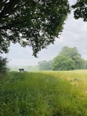 Wide view of the peaceful and green landscape with shaded benches for visitors to rest