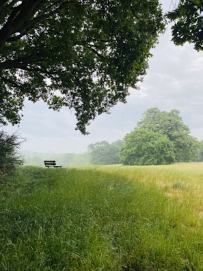 Wide view of the peaceful and green landscape with shaded benches for visitors to rest