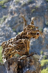 A sculpture made from intertwined pieces of driftwood resembling a wild animal, possibly a lynx or a cat, perched on a tree stump. The texture of the wood is rough and natural, with small specks of dust or pollen visible in the air around it. In the background, there is a blurred view of rocky terrain and greenery.