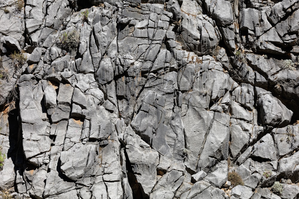 a close up of rocks with grass growing on them