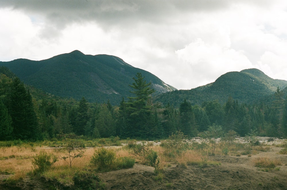 a grassy field with mountains in the background