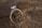 A delicate gold ring featuring a large diamond centerpiece surrounded by smaller diamonds is resting on coarse sand beside a smooth stone. The setting creates a contrast between the luxurious ring and the natural, earthy background.