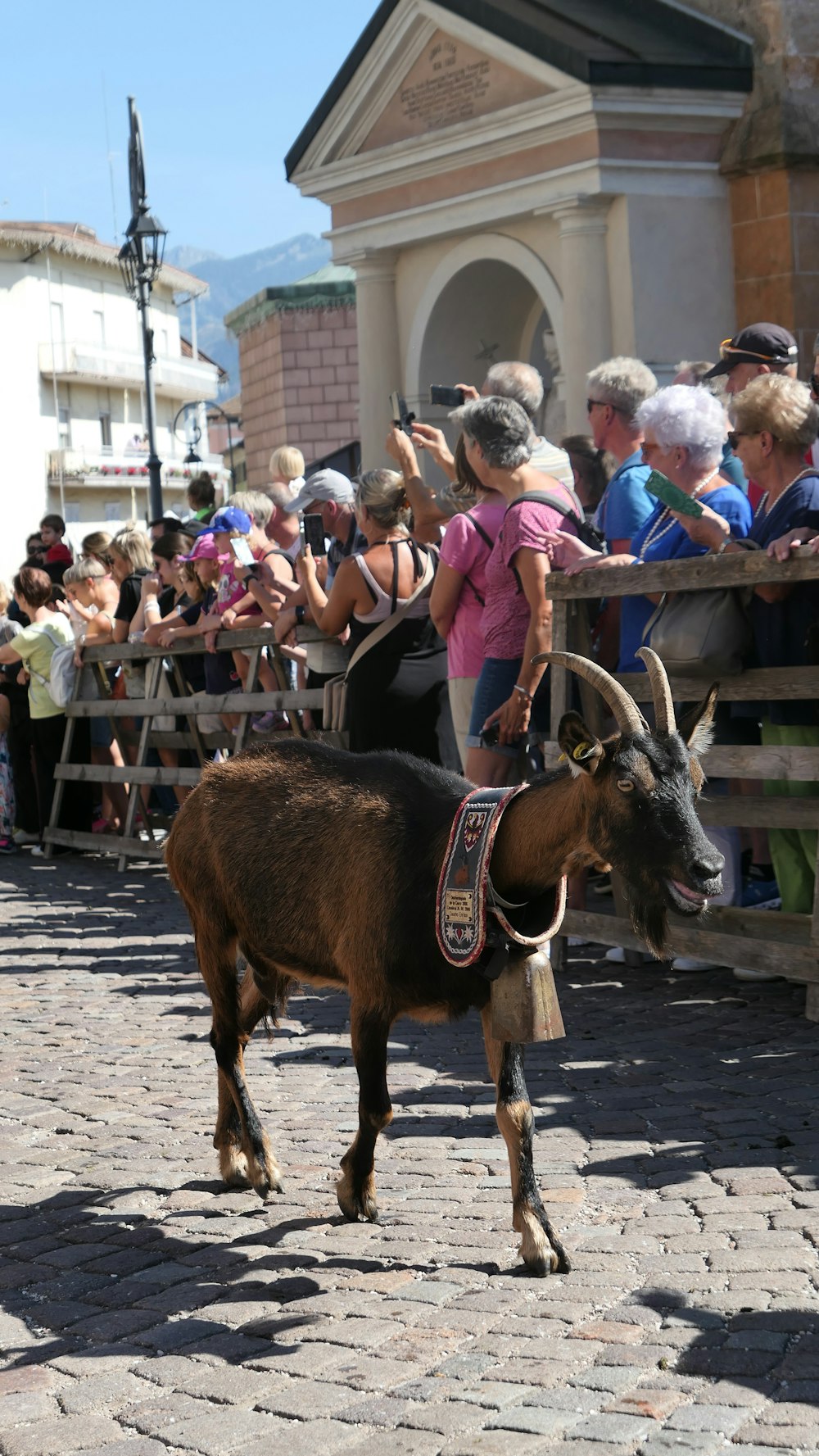 a brown goat walking down a street next to a crowd of people