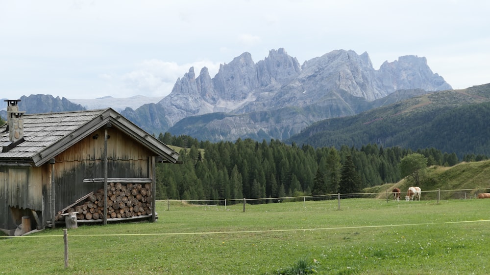 a barn in a field with mountains in the background