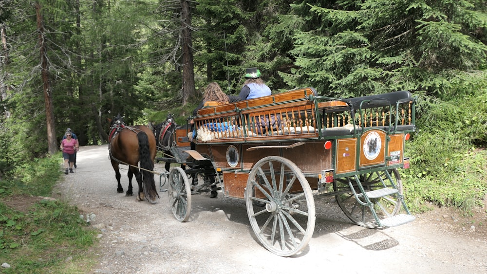 a horse drawn carriage traveling down a dirt road