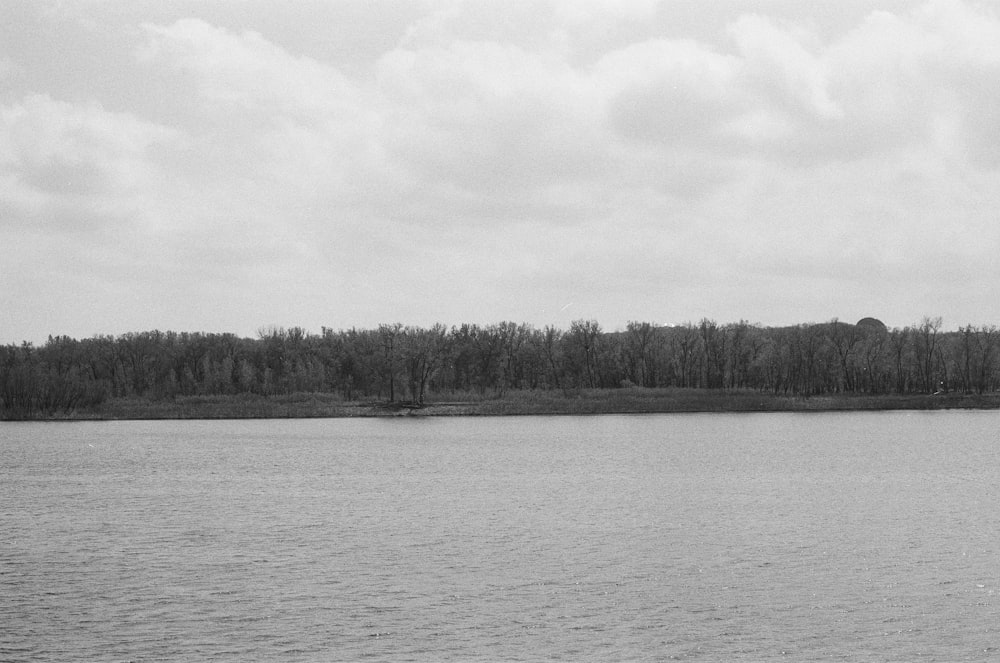 a large body of water with trees in the background