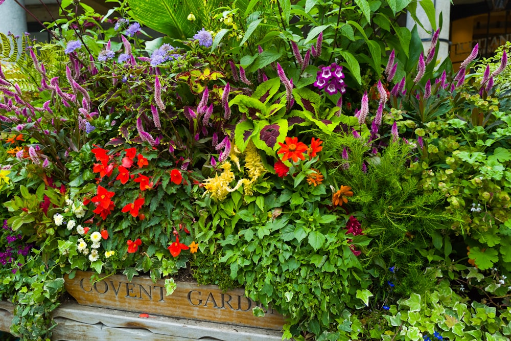 Una caja de madera llena de muchas flores coloridas