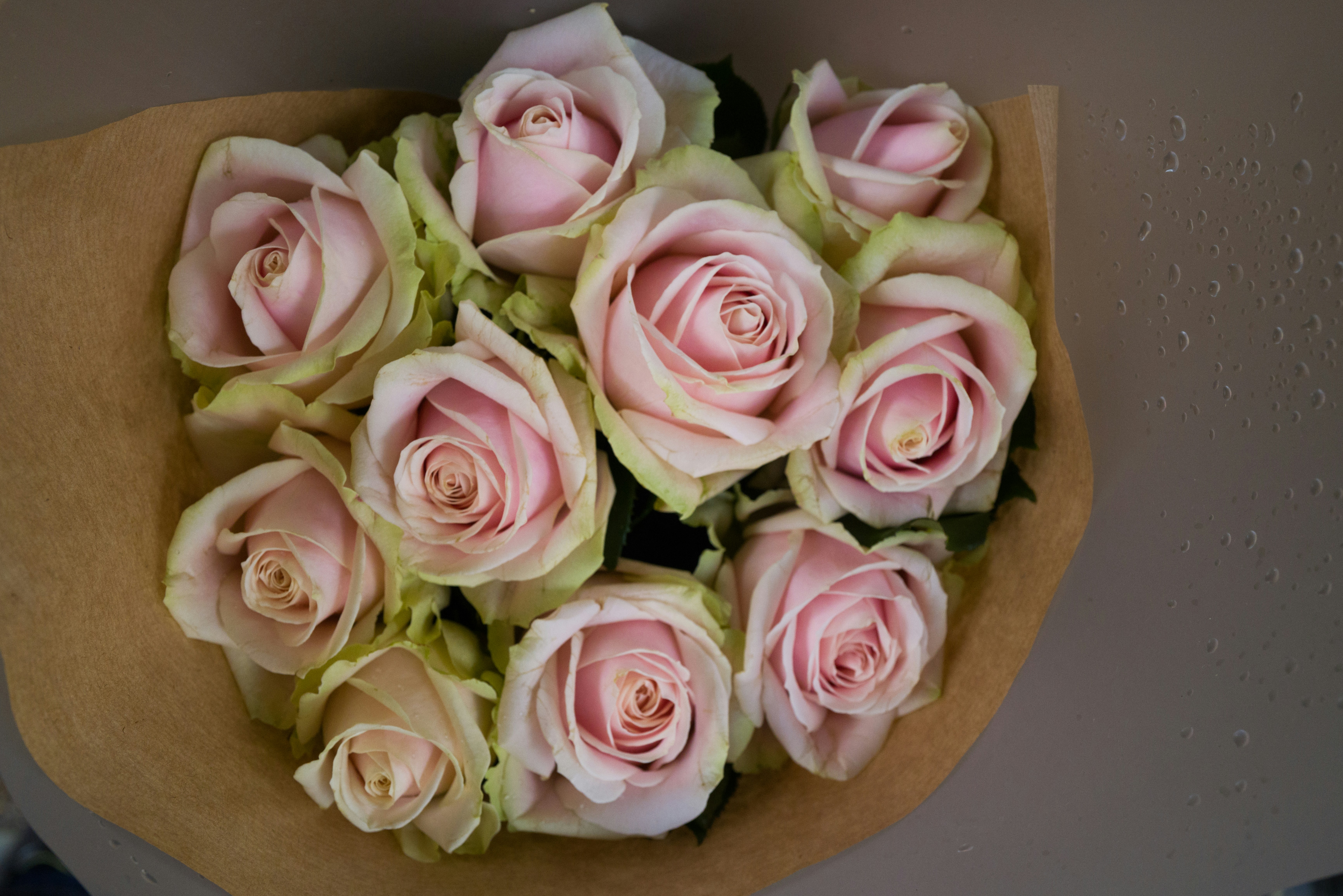 Blush Pink Rose Bouquet