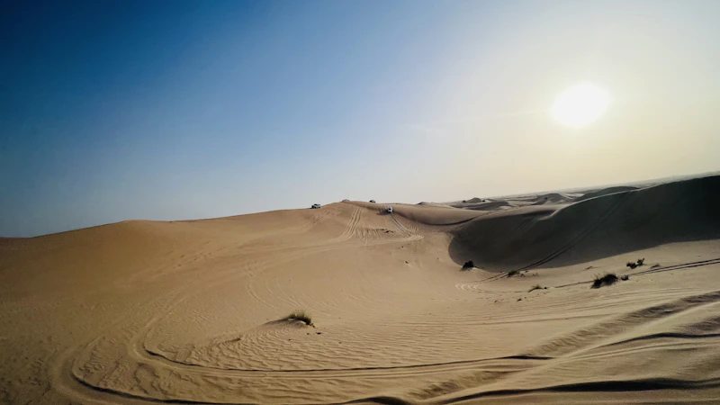 Sun low over sand dunes in the Abu Dhabi desert