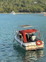 A small motorboat with a red canopy is floating on calm blue water. The boat is equipped with a life preserver and appears to be anchored. In the distance, there is a larger yacht near a tree-lined shore with dense green foliage.