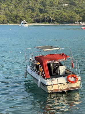 A small motorboat with a red canopy is floating on calm blue water. The boat is equipped with a life preserver and appears to be anchored. In the distance, there is a larger yacht near a tree-lined shore with dense green foliage.