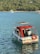 A small motorboat with a red canopy is floating on calm blue water. The boat is equipped with a life preserver and appears to be anchored. In the distance, there is a larger yacht near a tree-lined shore with dense green foliage.