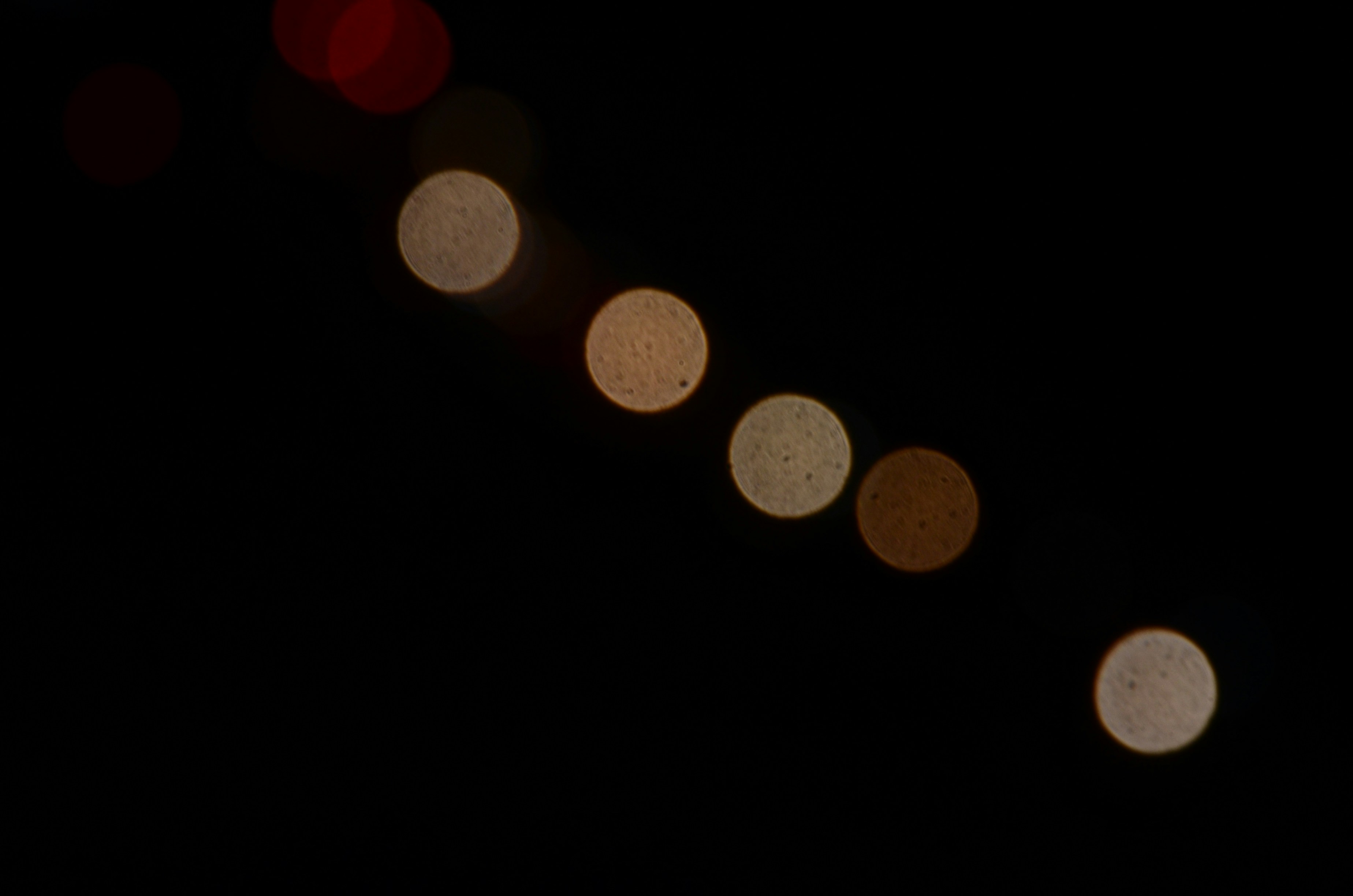 Photo by organicphoto