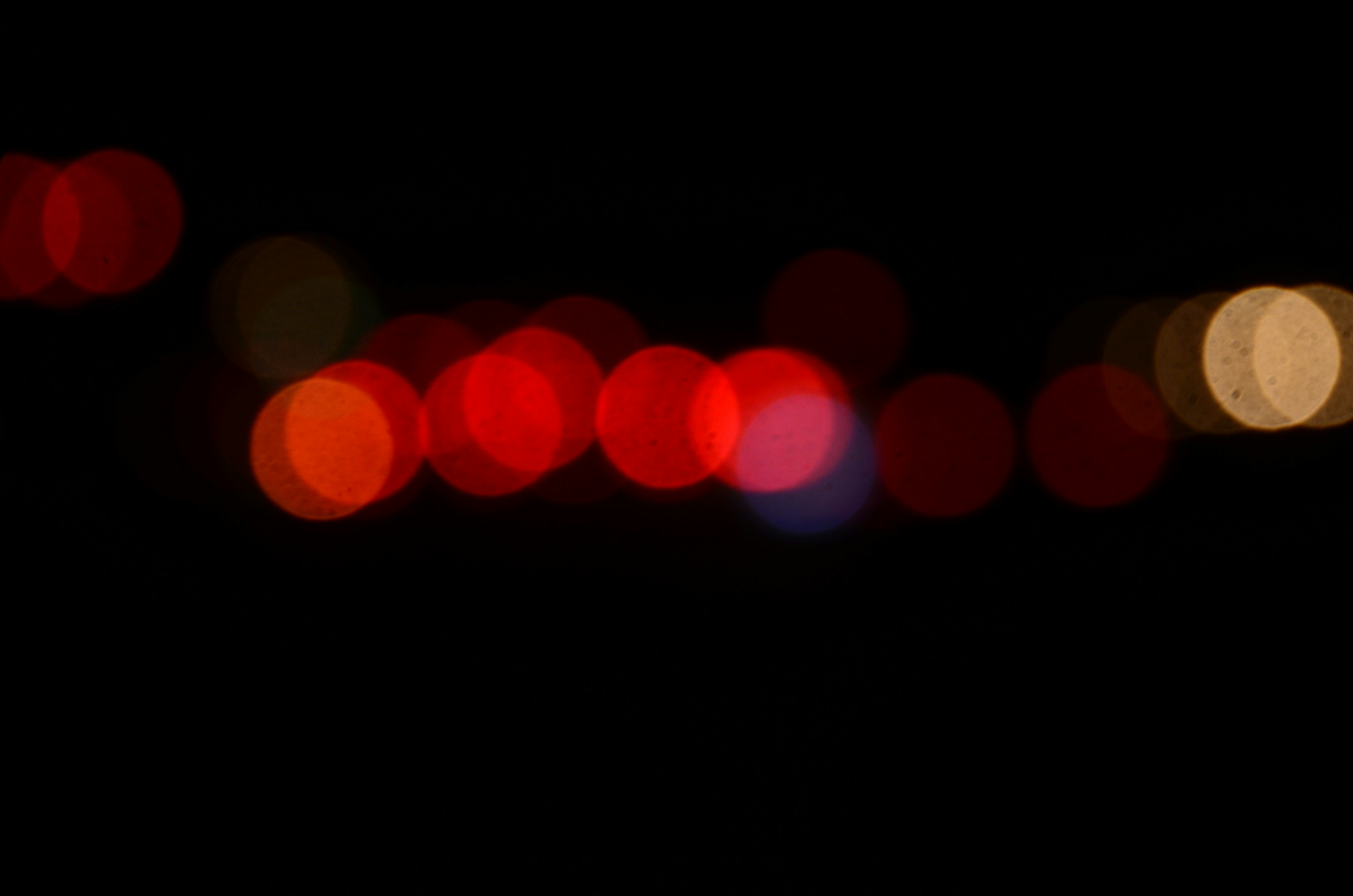 Photo by organicphoto