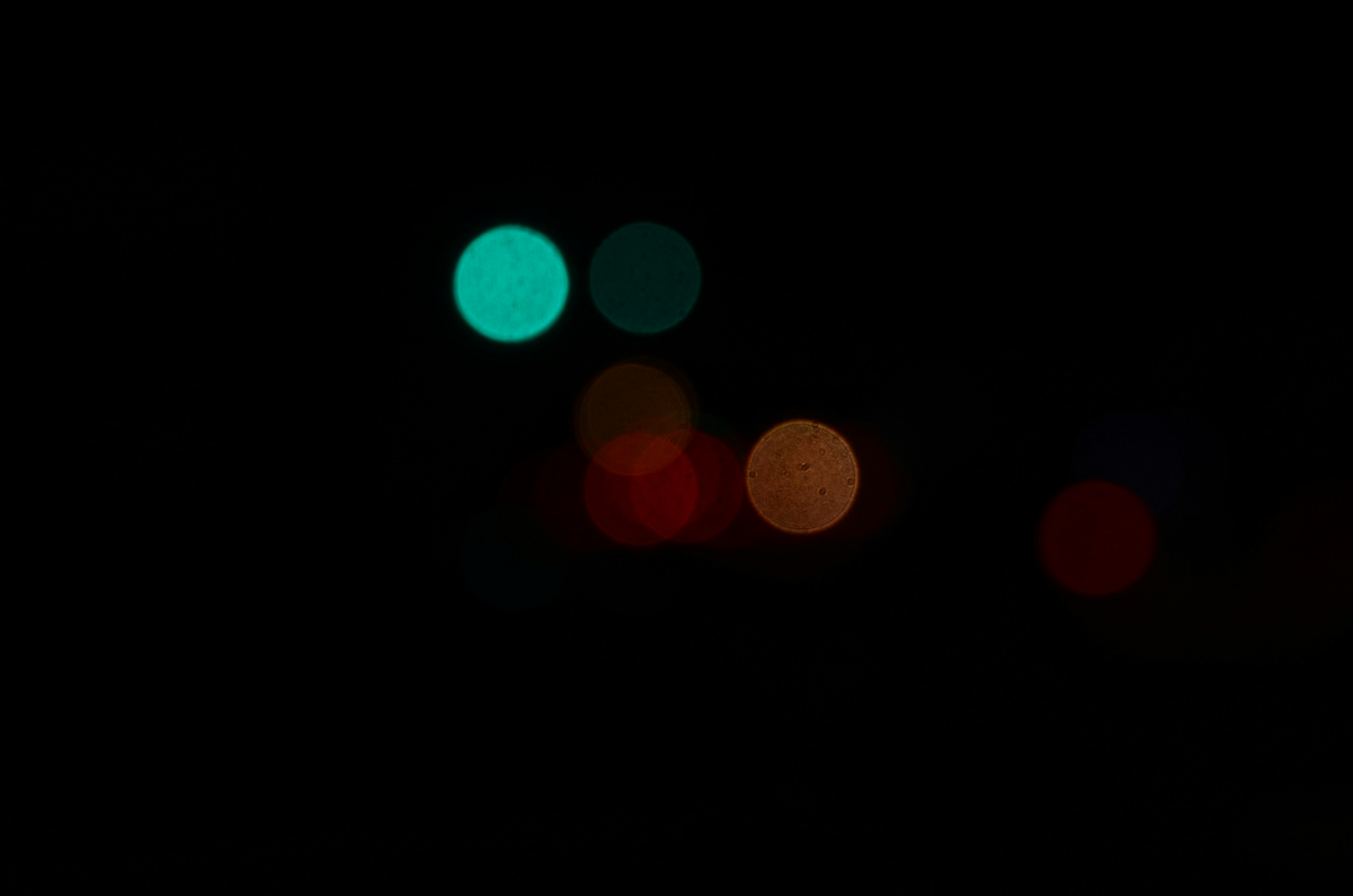 Photo by organicphoto