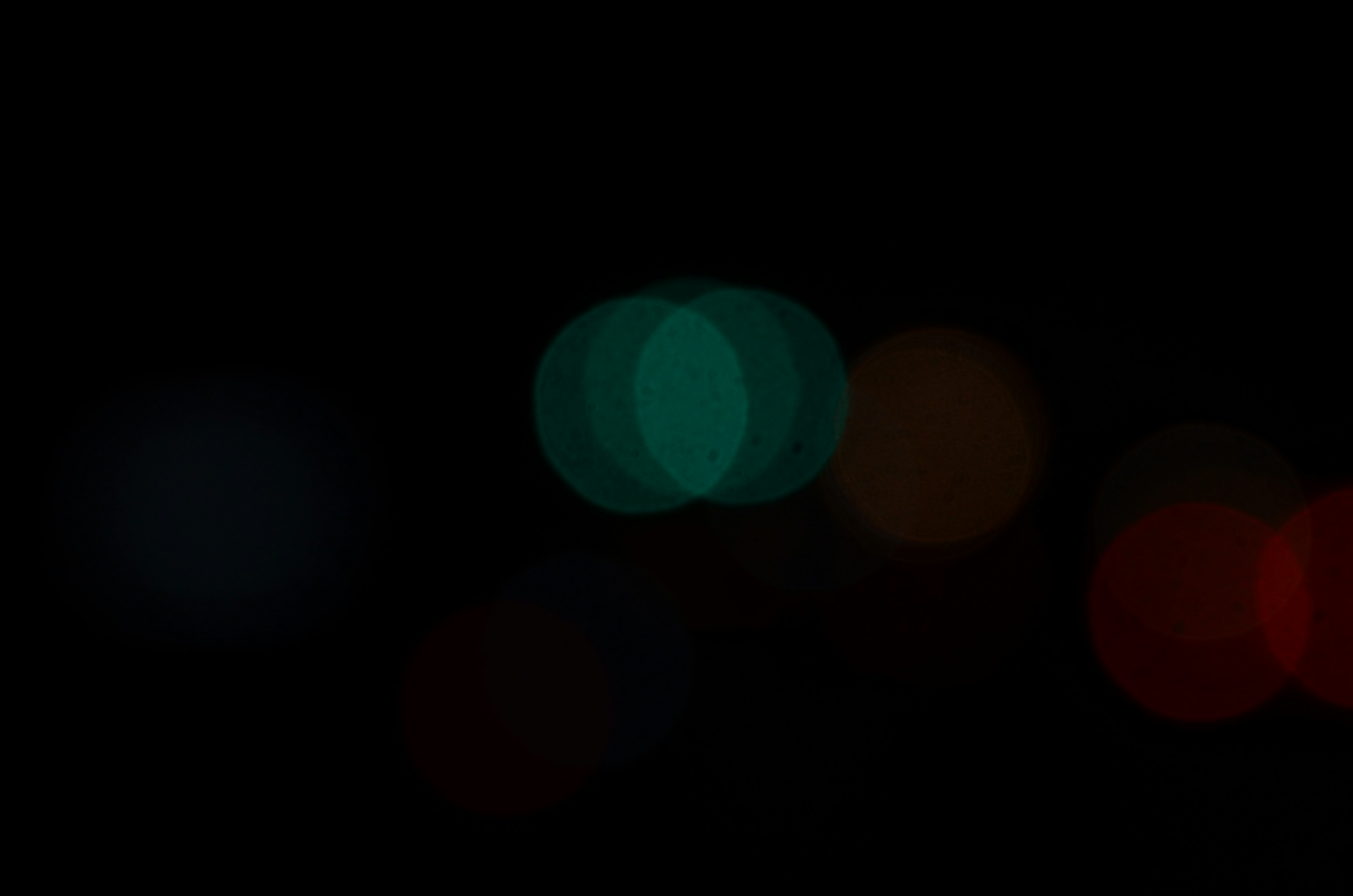 Photo by organicphoto