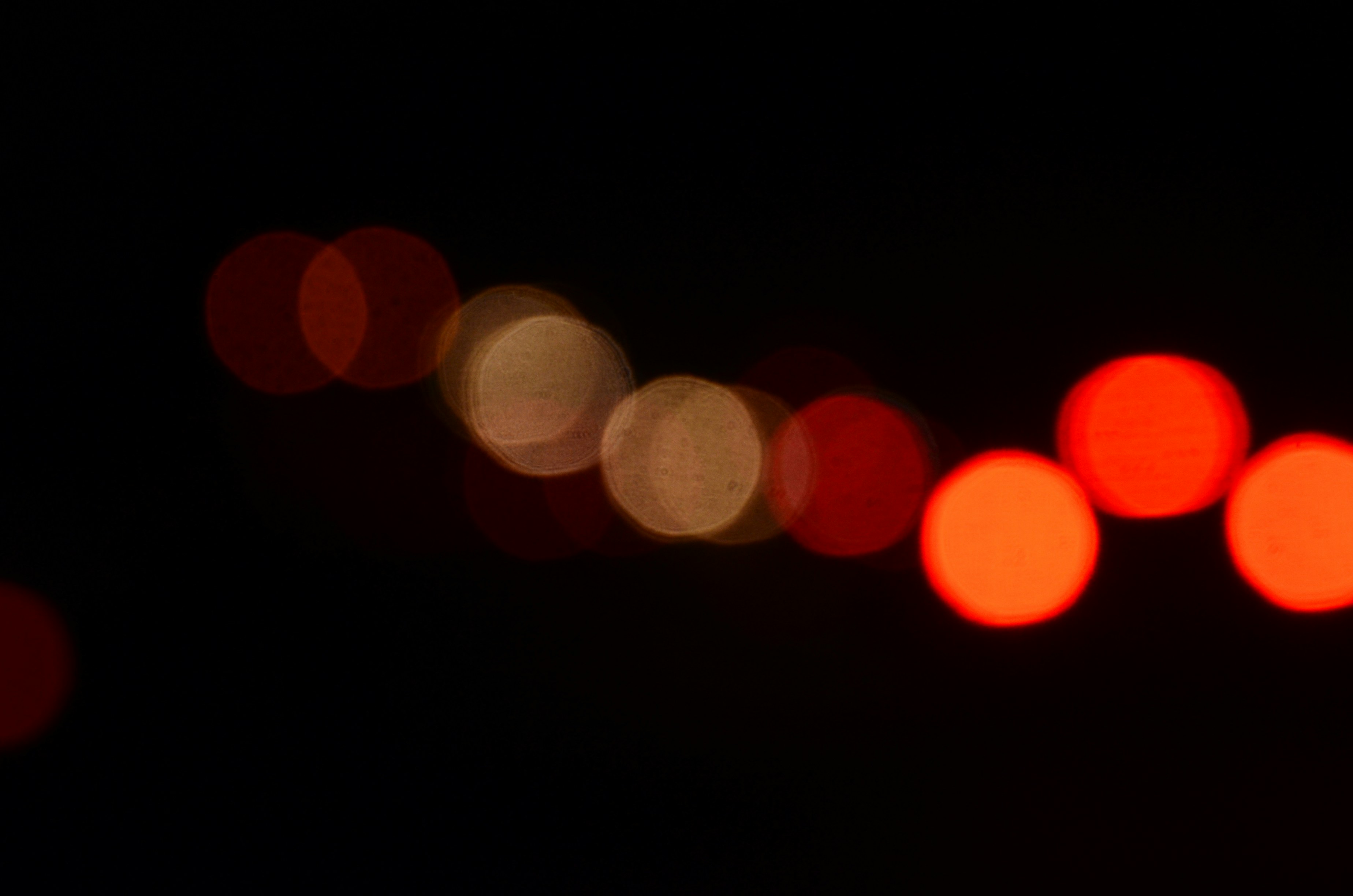 Photo by organicphoto