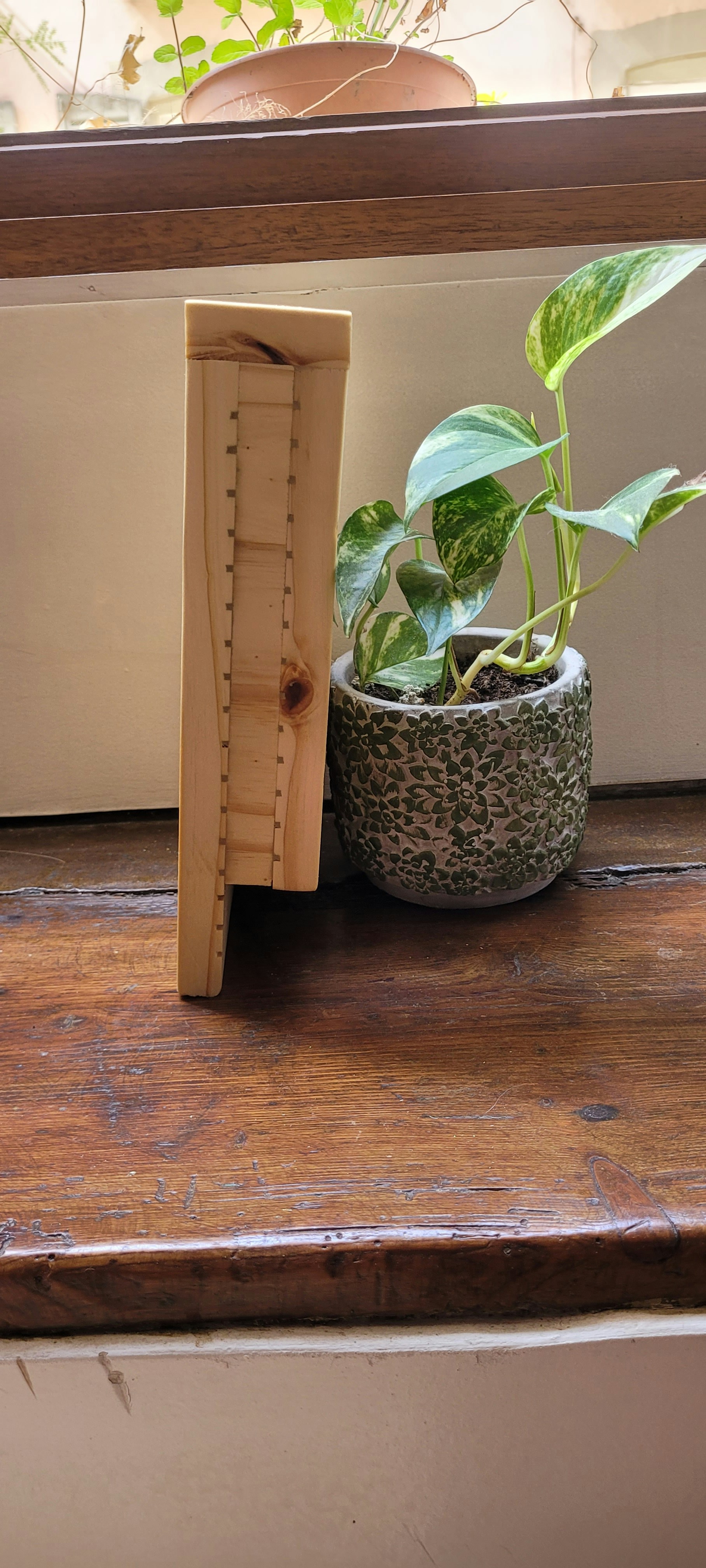 Organic Herb Starter Kit