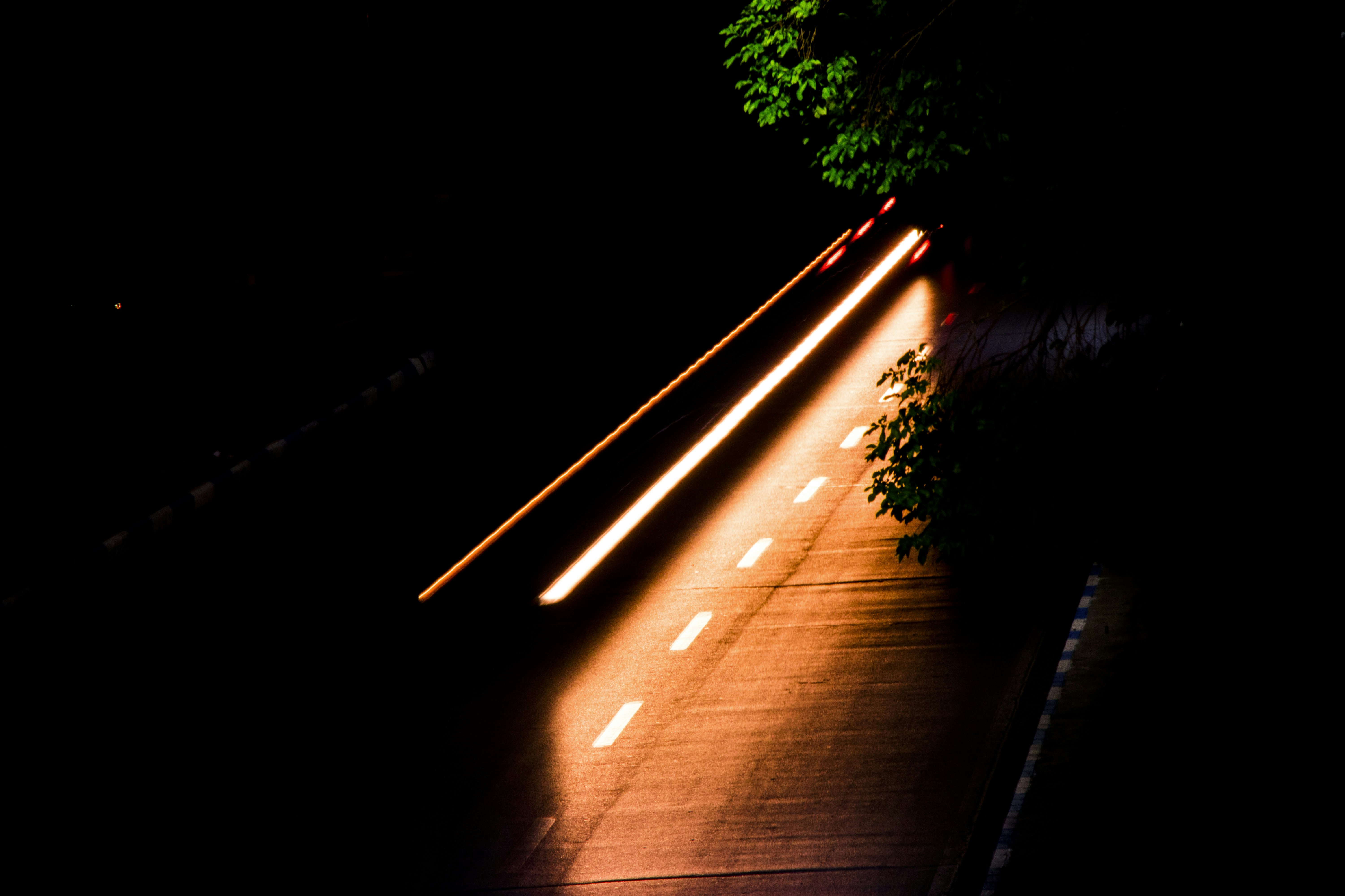 Photo by hamed_tabrizchi