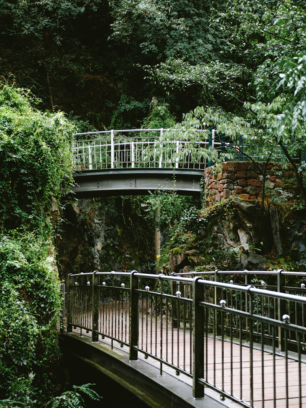a bridge over a river surrounded by lush green trees