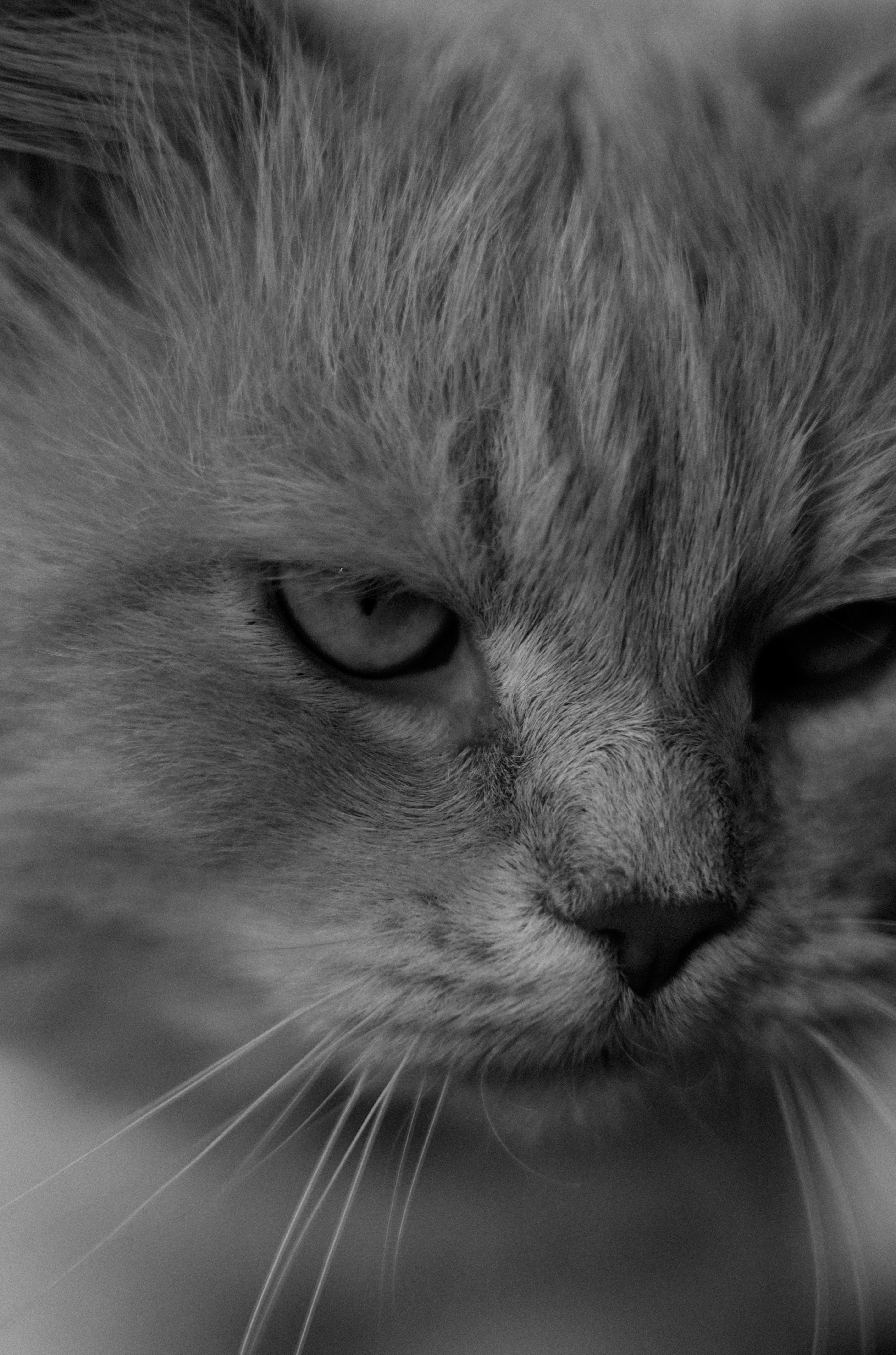 Photo by anyutakejbalo