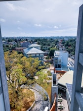 Aerial view of a residential roof showcasing its structure and surrounding greenery.